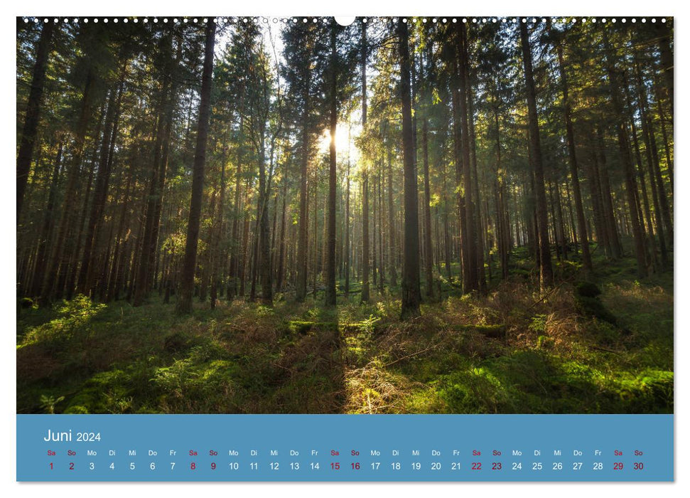 Harz Impressionen (CALVENDO Wandkalender 2024)