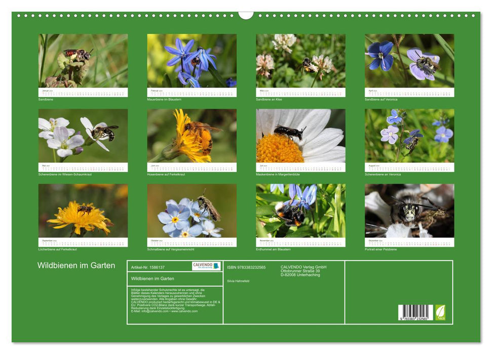 Wild bees in the garden (CALVENDO wall calendar 2024) 