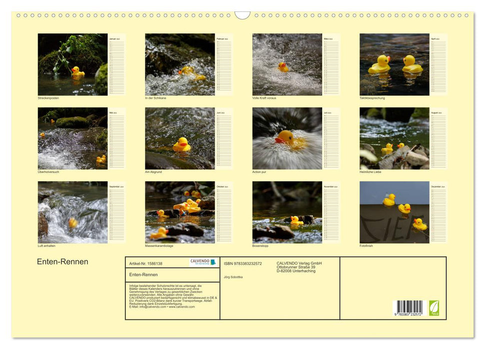 Duck race (CALVENDO wall calendar 2024) 