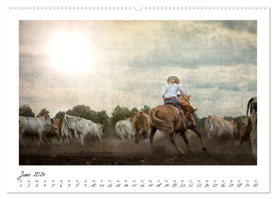 Mecklenburg's Wild West (CALVENDO wall calendar 2024) 