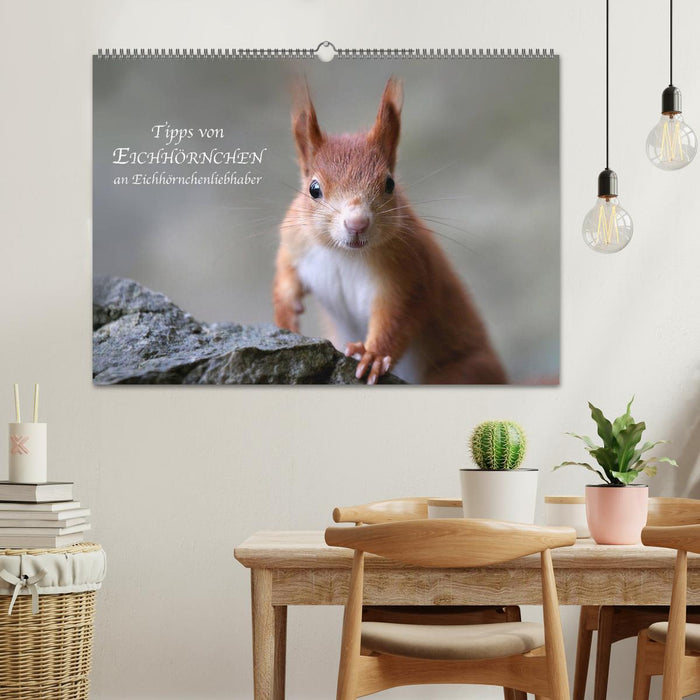 Tipps von Eichhörnchen an Eichhörnchenliebhaber (CALVENDO Wandkalender 2024)