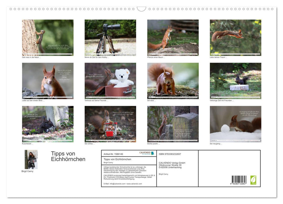 Tips from squirrels to squirrel lovers (CALVENDO wall calendar 2024) 