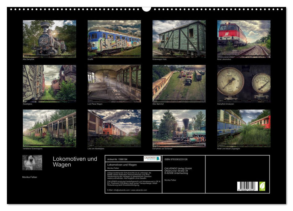 Locomotives and wagons - dilapidated and forgotten on the sidings (CALVENDO wall calendar 2024) 