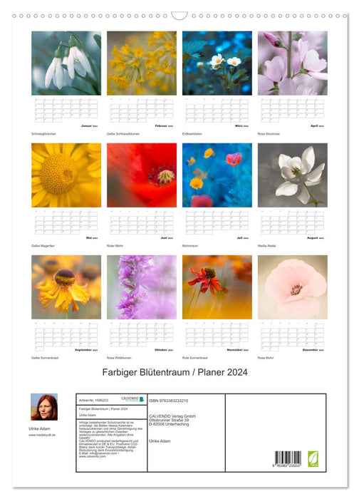 Colored flower dream (CALVENDO wall calendar 2024) 