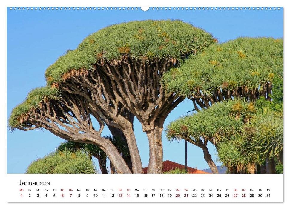 Madeira - Gärten und Quintas (CALVENDO Wandkalender 2024)