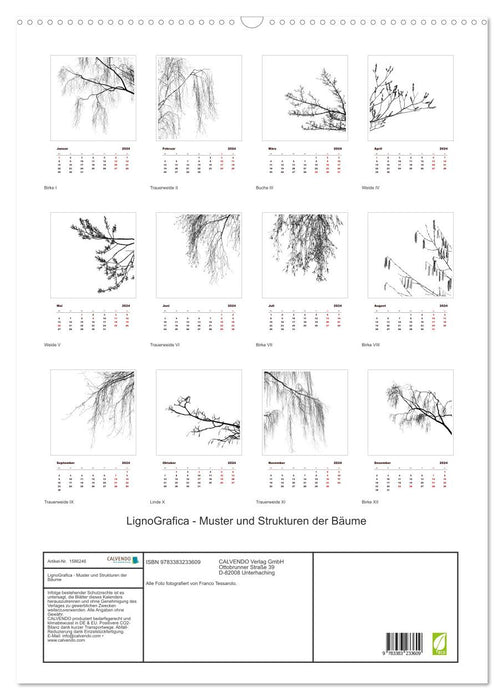 LignoGrafica - Muster und Strukturen der Bäume (CALVENDO Wandkalender 2024)