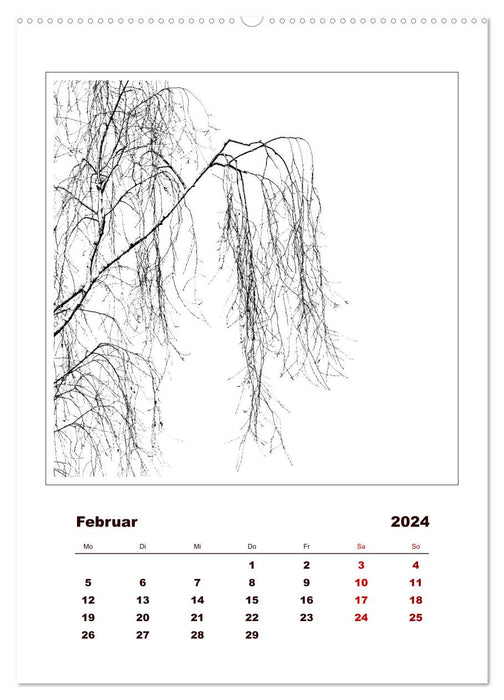 LignoGrafica - Patterns and structures of trees (CALVENDO wall calendar 2024) 