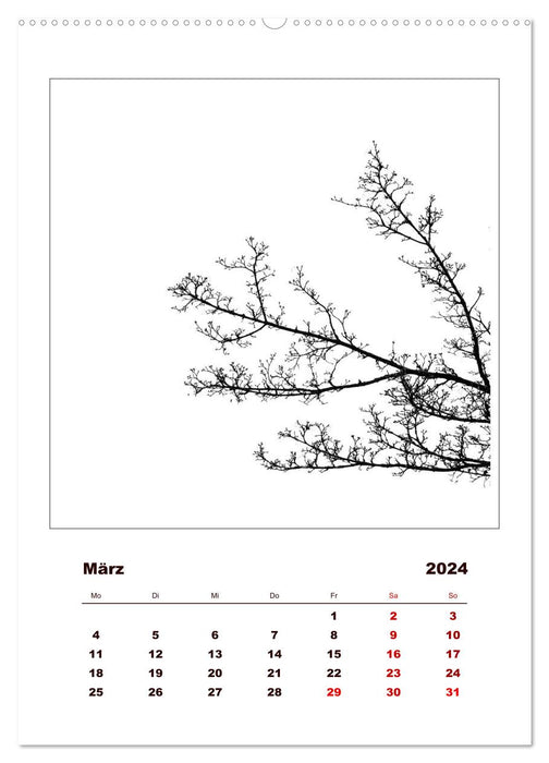 LignoGrafica - Patterns and structures of trees (CALVENDO wall calendar 2024) 