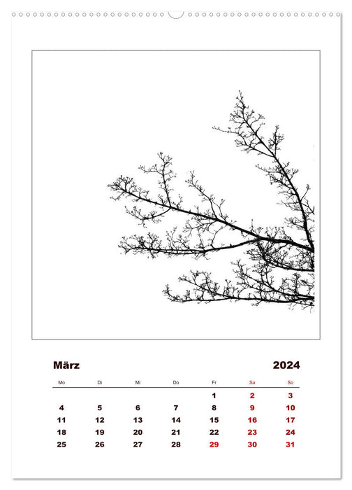 LignoGrafica - Muster und Strukturen der Bäume (CALVENDO Wandkalender 2024)