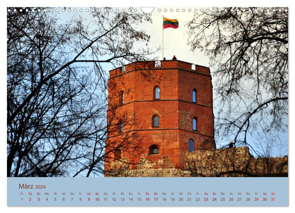 Vilnius in detail (CALVENDO wall calendar 2024) 