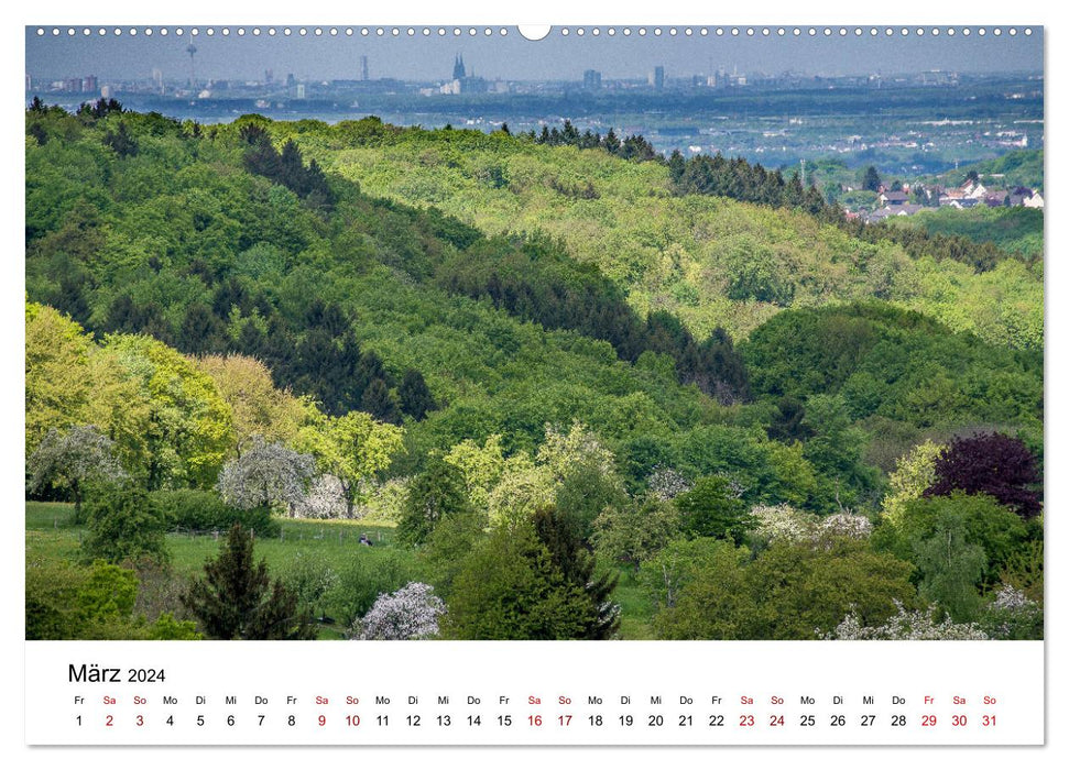Highlights of the Siebengebirge (CALVENDO Premium Wall Calendar 2024) 