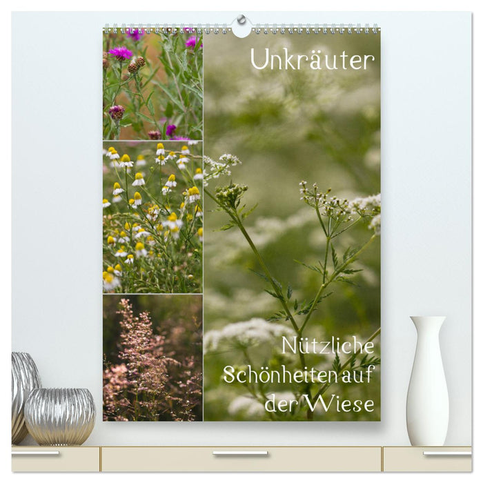 Weeds – Useful beauties in the meadow (CALVENDO Premium Wall Calendar 2024) 