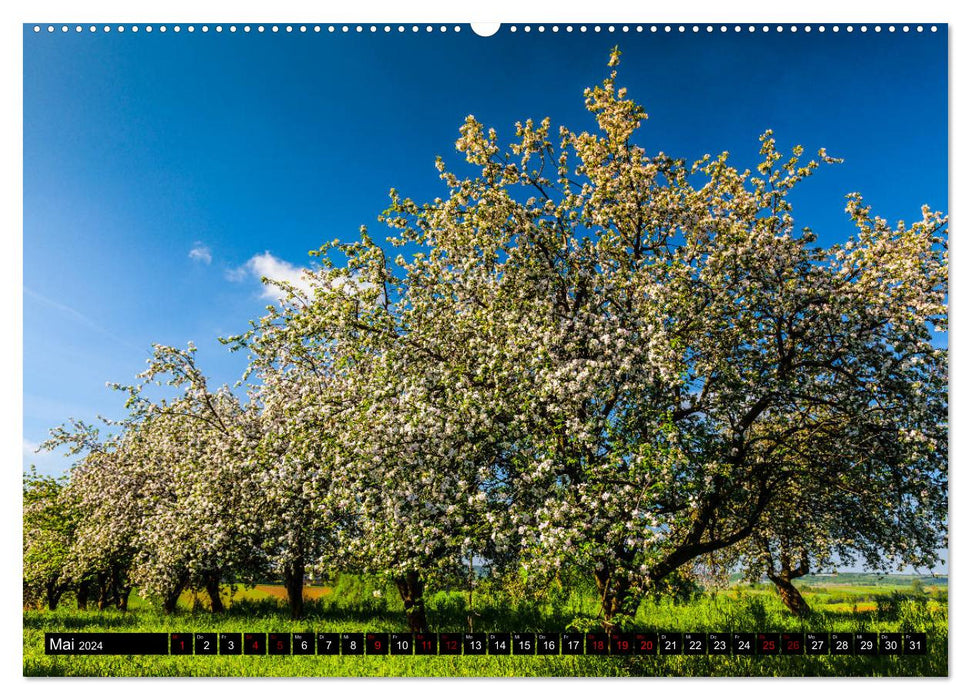 Jura. Polen (CALVENDO Wandkalender 2024)