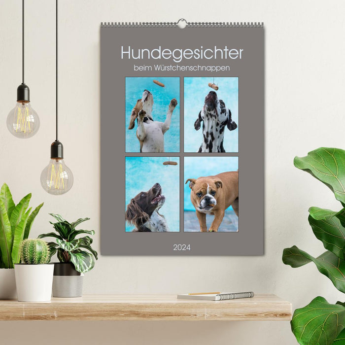 Dog faces while grabbing sausages (CALVENDO wall calendar 2024) 