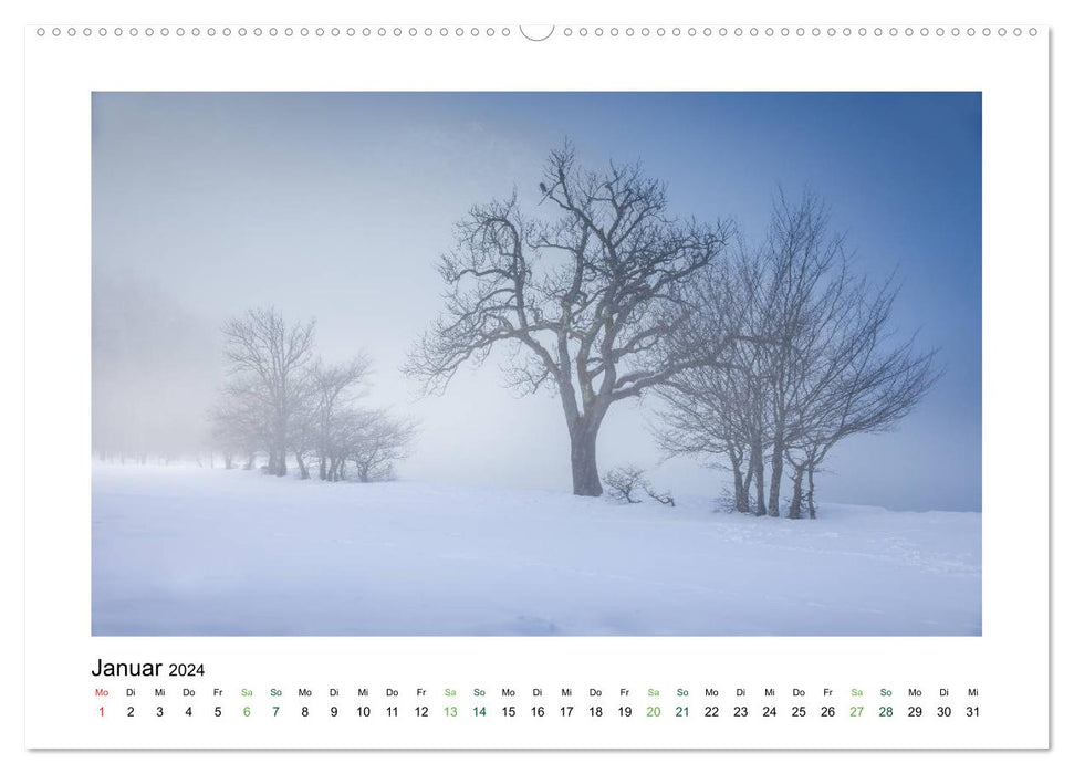 Silent Oases (CALVENDO Premium Wall Calendar 2024) 