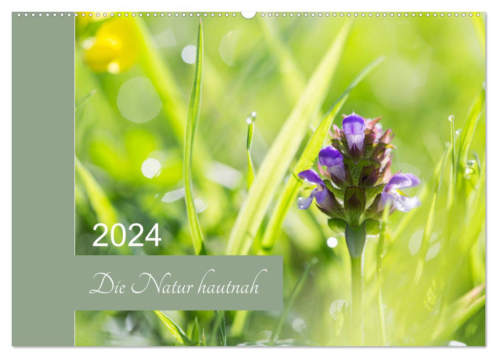 Die Natur hautnah (CALVENDO Wandkalender 2024)