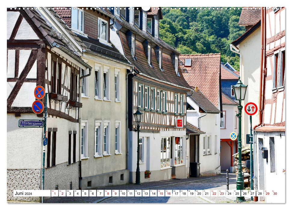 Magnifique Eppstein du chauffeur de taxi de Francfort Petrus Bodenstaff (calendrier mural CALVENDO 2024) 