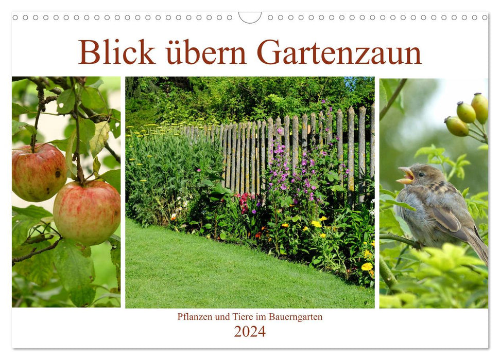 Blick übern Gartenzaun (CALVENDO Wandkalender 2024)