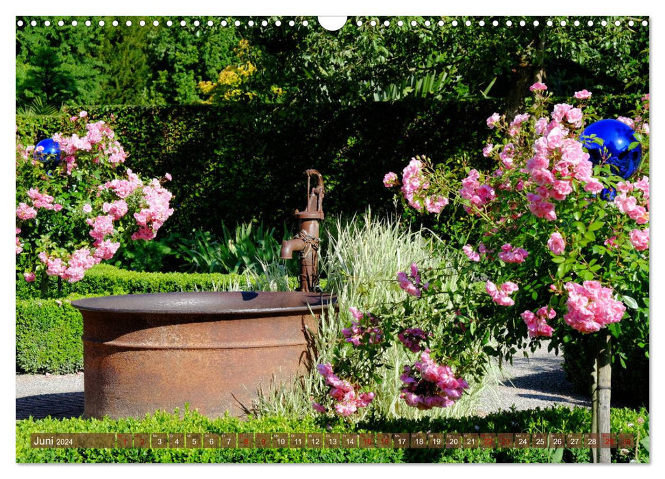 Blick übern Gartenzaun (CALVENDO Wandkalender 2024)