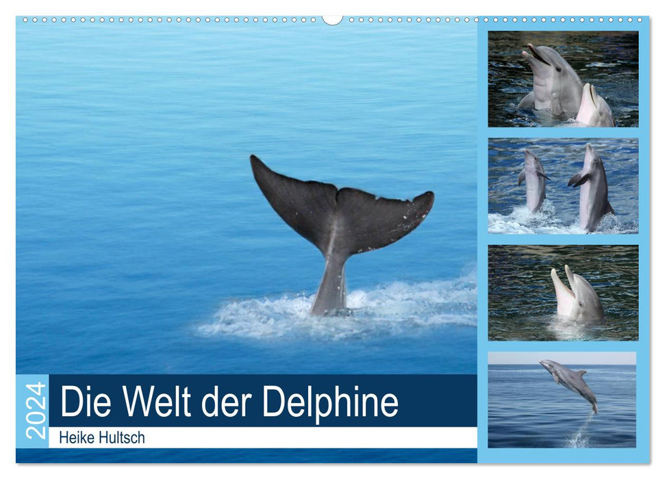 The world of dolphins (CALVENDO wall calendar 2024) 