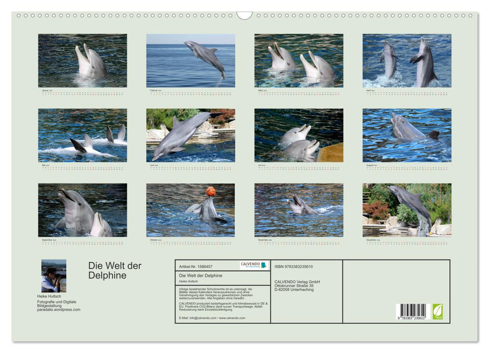 Die Welt der Delphine (CALVENDO Wandkalender 2024)