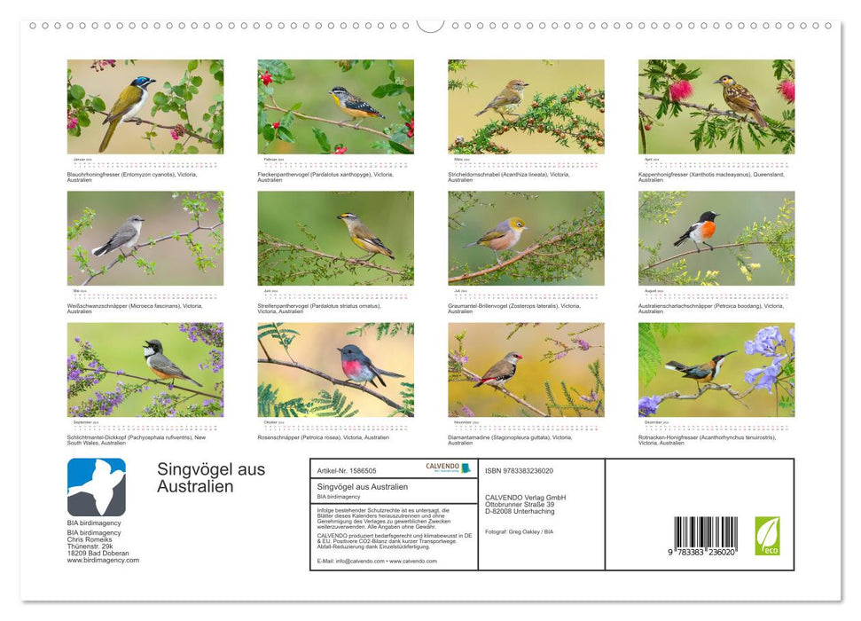 Oiseaux chanteurs d'Australie (Calvendo Premium Wall Calendar 2024) 