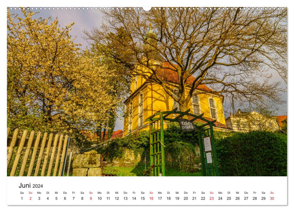 Hohnsteiner Impressionen (CALVENDO Premium Wandkalender 2024)