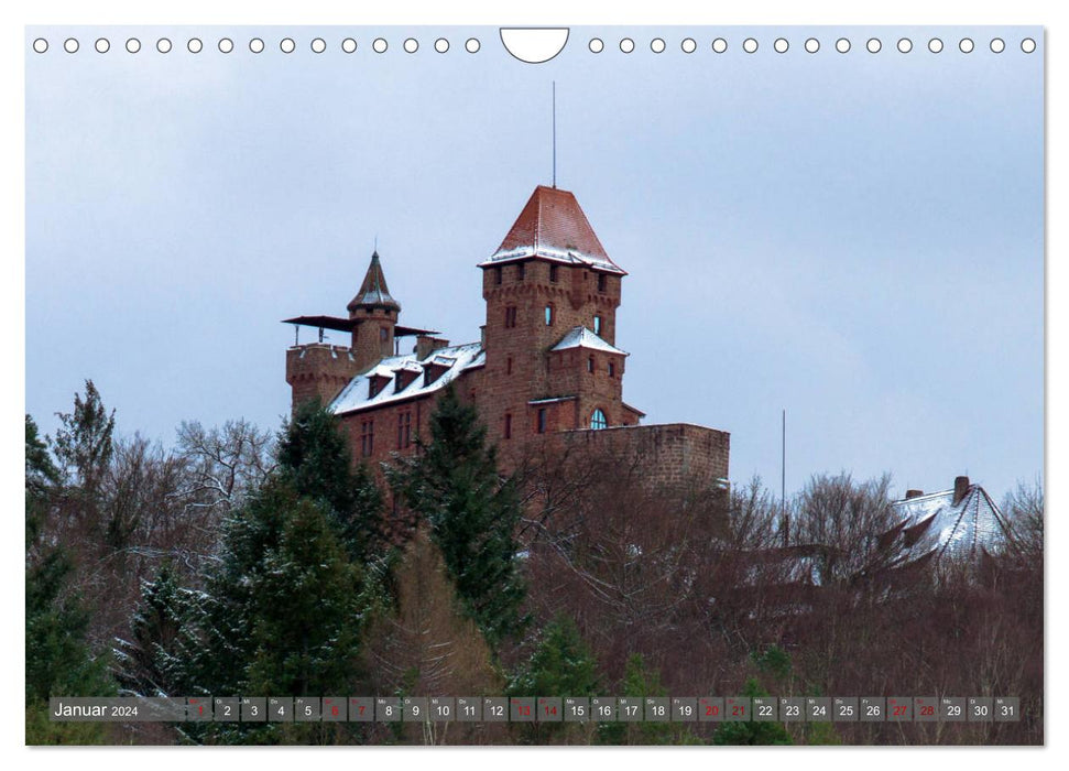 Weinland Pfalz - Region Südliche Weinstraße (CALVENDO Wandkalender 2024)