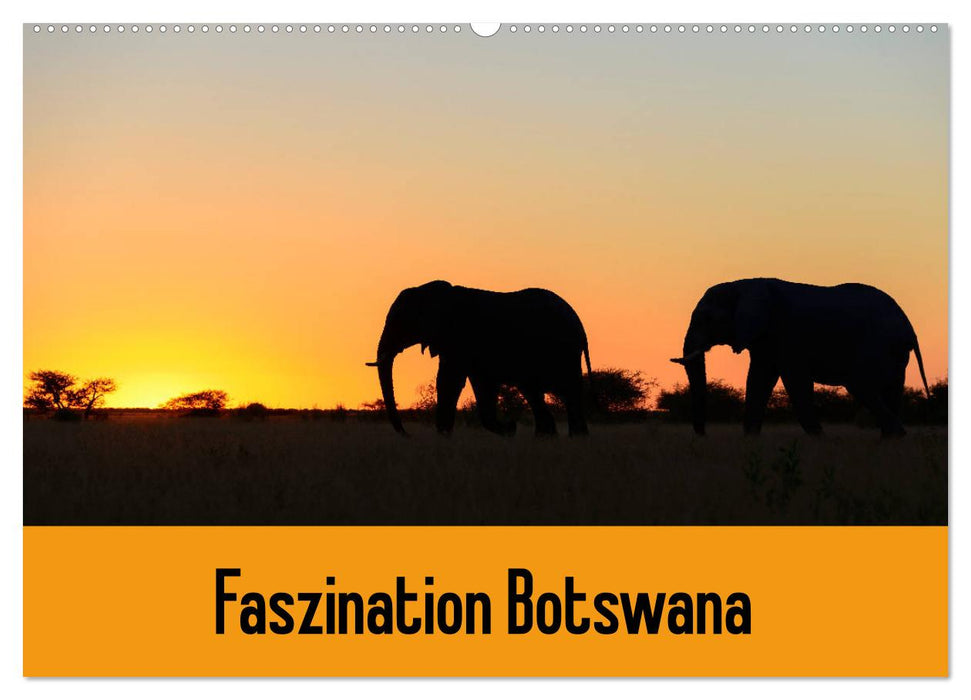 Fascination Botswana (Calendrier mural CALVENDO 2024) 