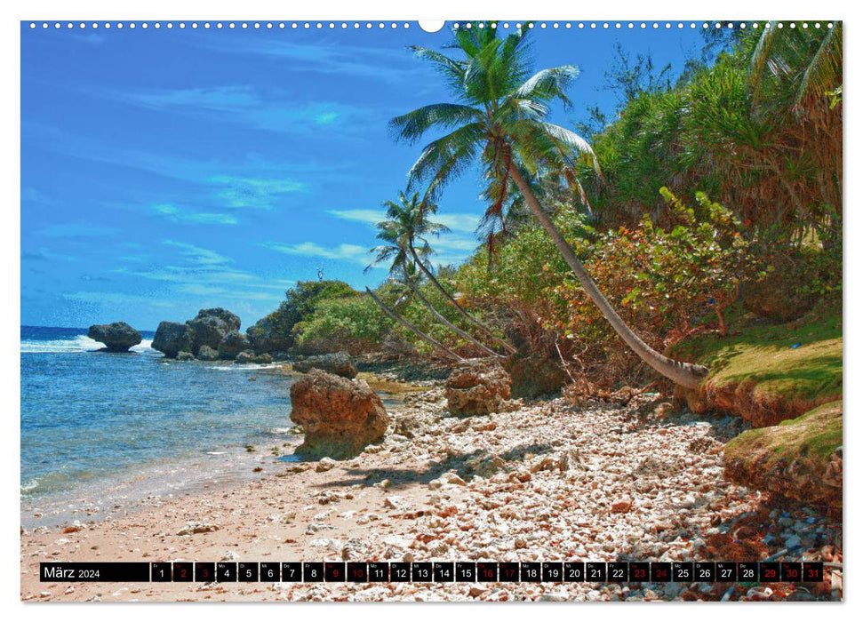 Barbados (CALVENDO Premium Wandkalender 2024)