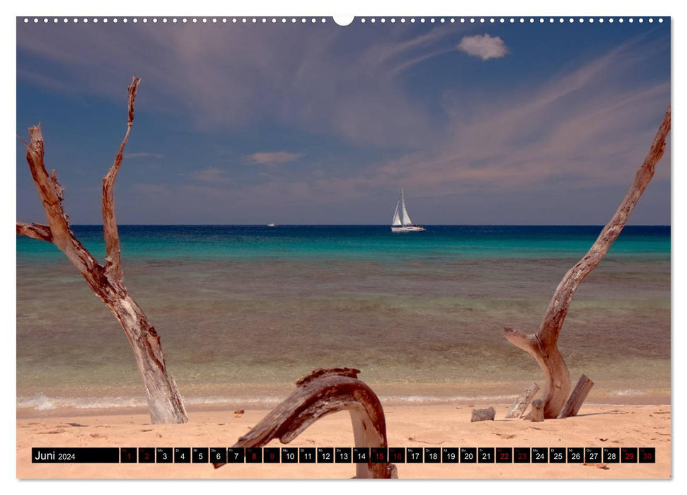 Barbados (CALVENDO Premium Wandkalender 2024)