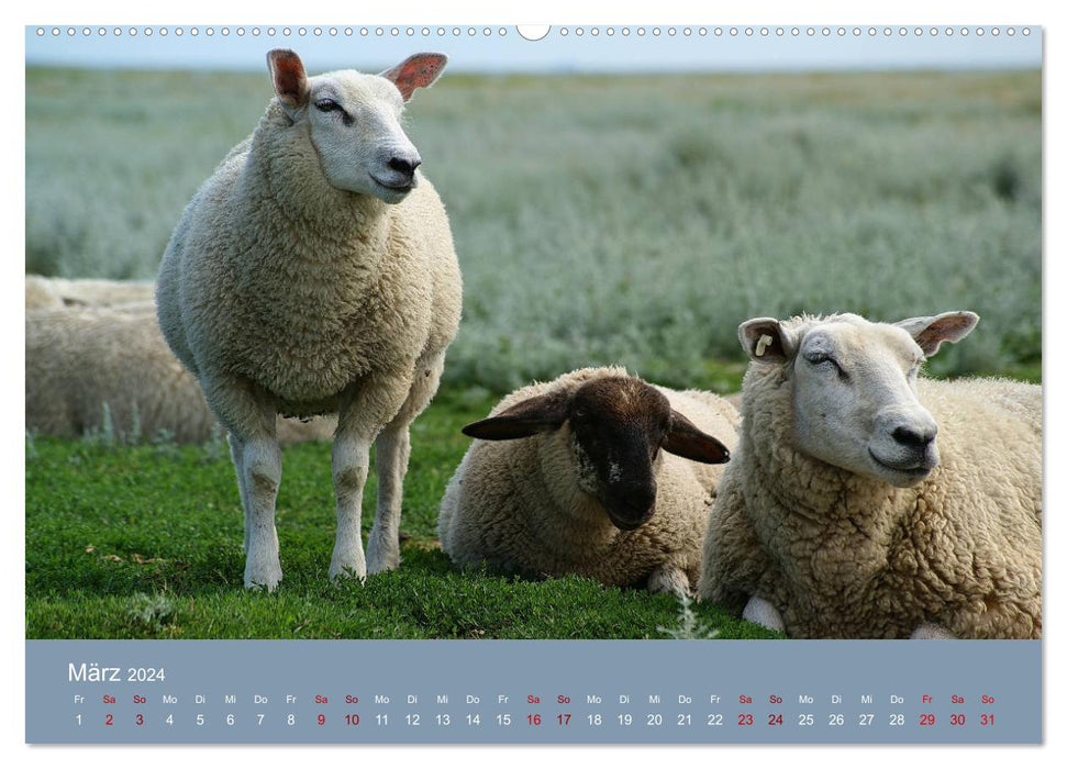 Westerhever (CALVENDO Premium Wandkalender 2024)