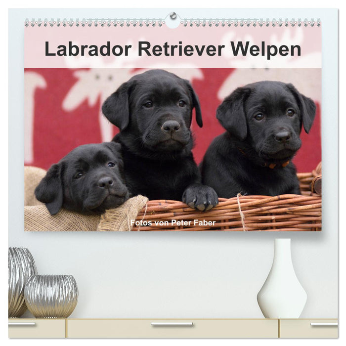 Labrador Retriever Welpen (CALVENDO Premium Wandkalender 2024)