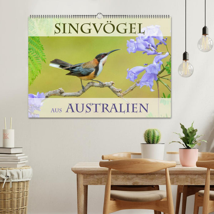 Oiseaux chanteurs d’Australie (calendrier mural CALVENDO 2024) 