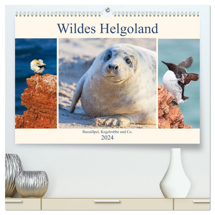 Wildes Helgoland - Basstölpel, Kegelrobbe und Co. 2024 (CALVENDO Premium Wandkalender 2024)