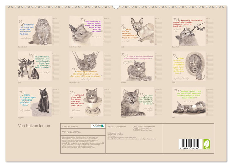 Von Katzen lernen (CALVENDO Premium Wandkalender 2024)