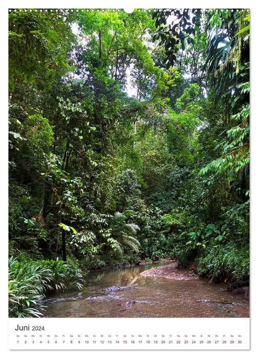 Colombie - Nature et Culture (Calendrier mural CALVENDO 2024) 