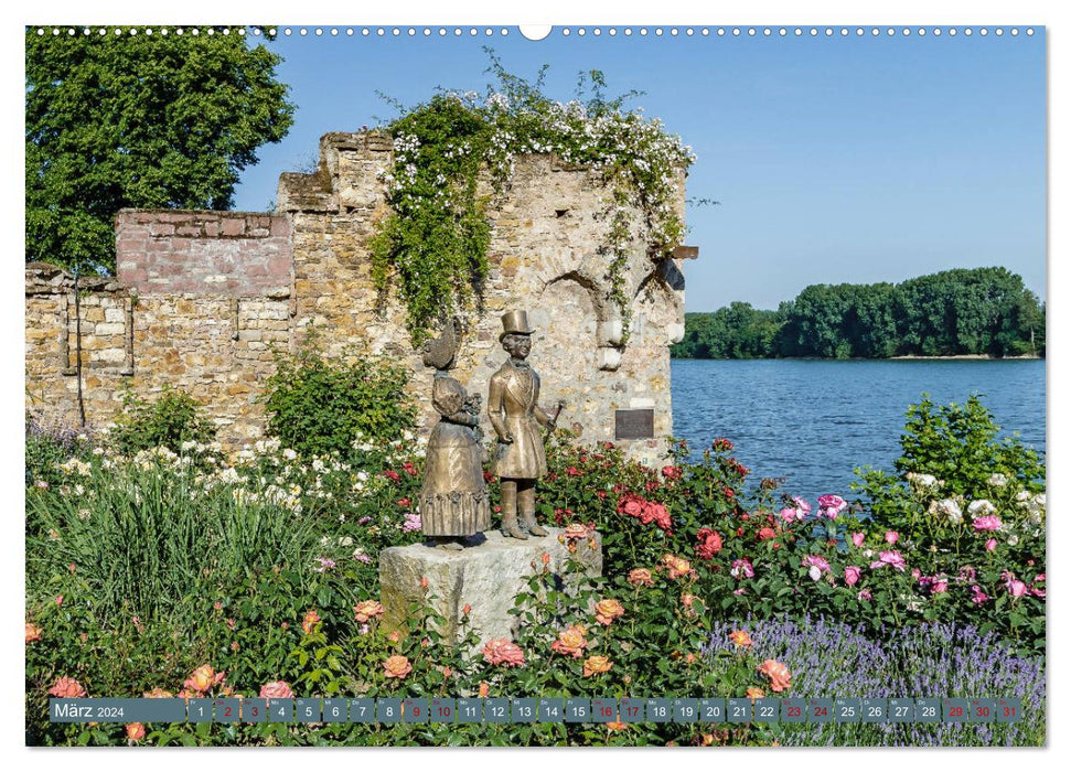 Eltville am Rhein - vin, vin mousseux, roses (calendrier mural CALVENDO 2024) 