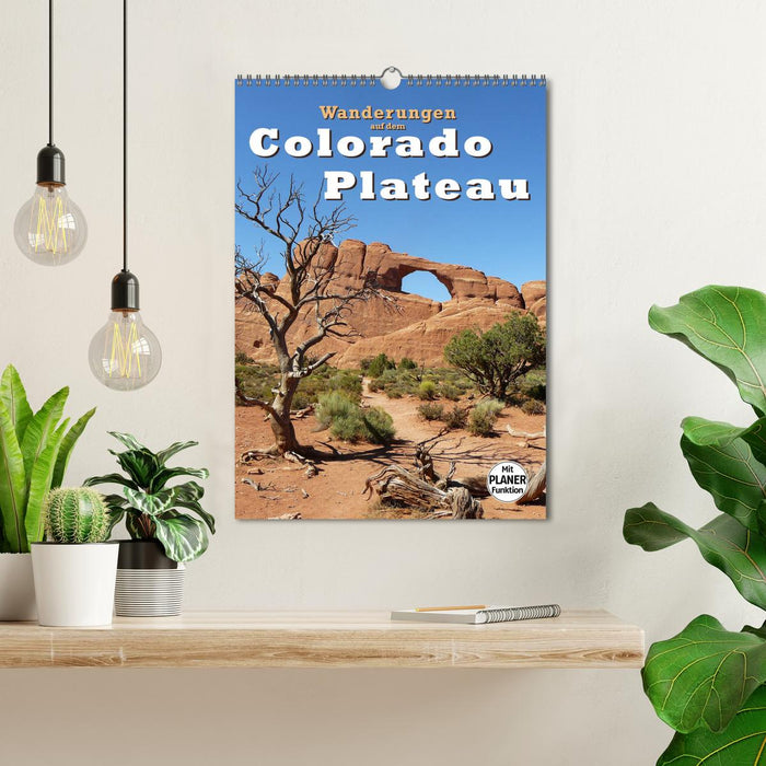 Randonnées sur le Plateau du Colorado (Calendrier mural CALVENDO 2024) 