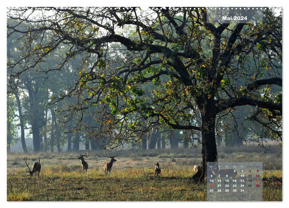 Wilde Tiere Indiens (CALVENDO Premium Wandkalender 2024)