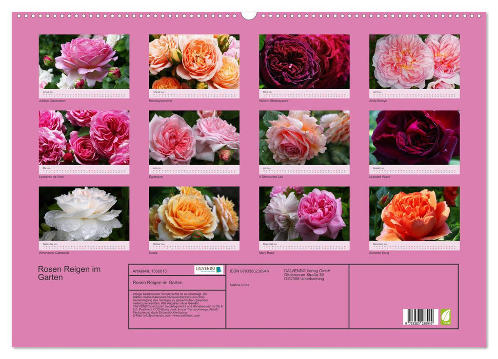 Les roses dansent dans le jardin (Calendrier mural CALVENDO 2024) 