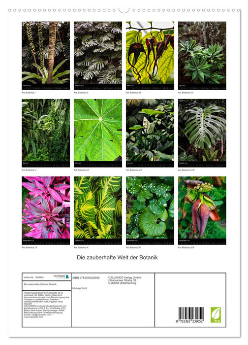 Die zauberhafte Welt der Botanik (CALVENDO Premium Wandkalender 2024)