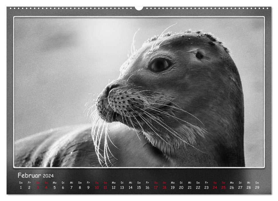 Tieren ins Gesicht geschaut (CALVENDO Premium Wandkalender 2024)