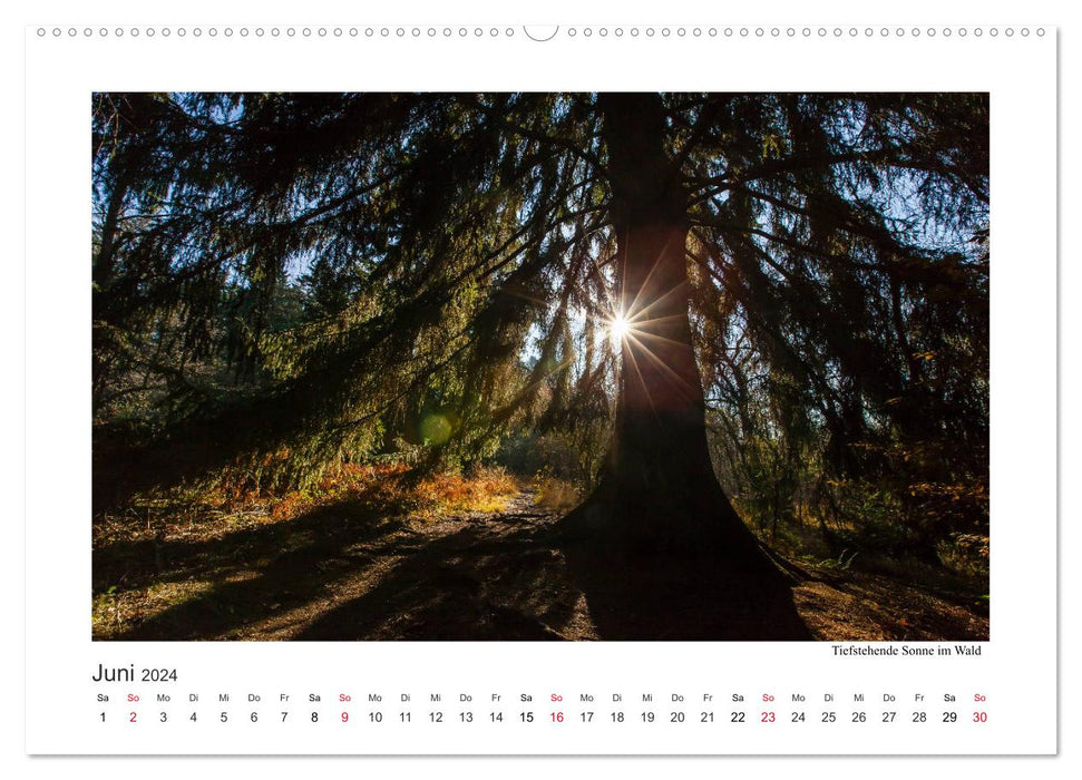 Kasseler Landschaften (CALVENDO Wandkalender 2024)