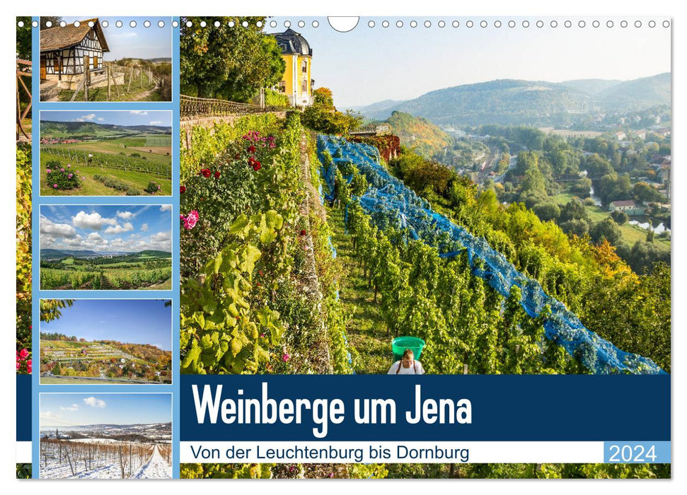 Vignobles autour de Jena (calendrier mural CALVENDO 2024) 