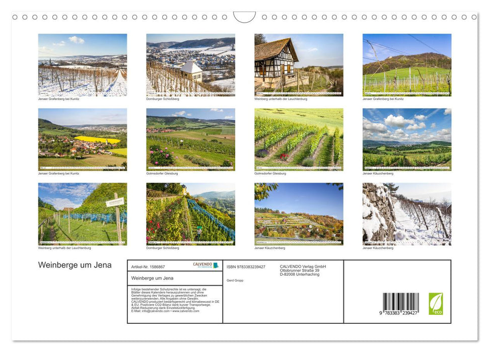 Vignobles autour de Jena (calendrier mural CALVENDO 2024) 