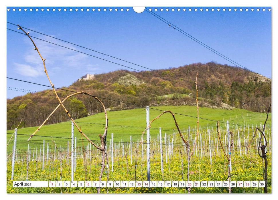 Vignobles autour de Jena (calendrier mural CALVENDO 2024) 