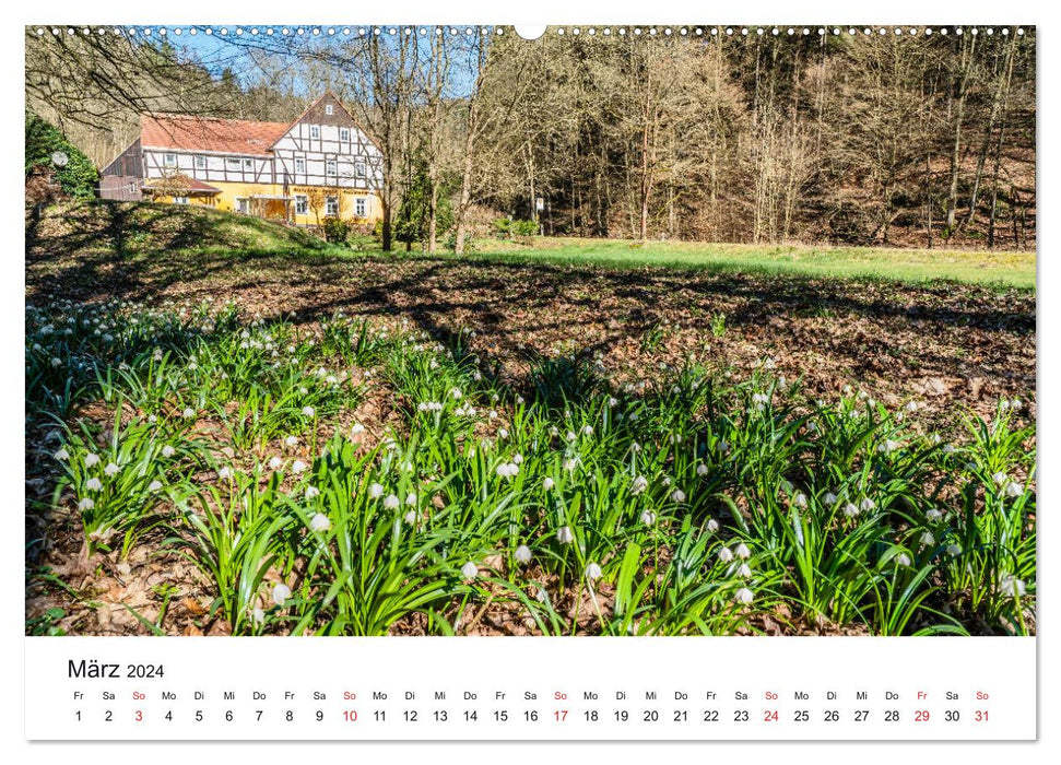 Hohnsteiner Impressionen (CALVENDO Wandkalender 2024)