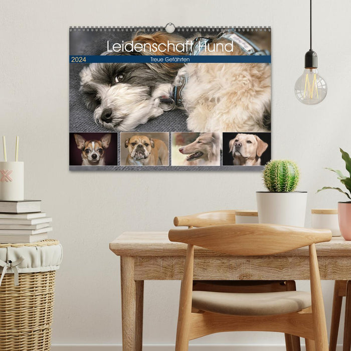 Passion Chien (Calendrier mural CALVENDO 2024) 