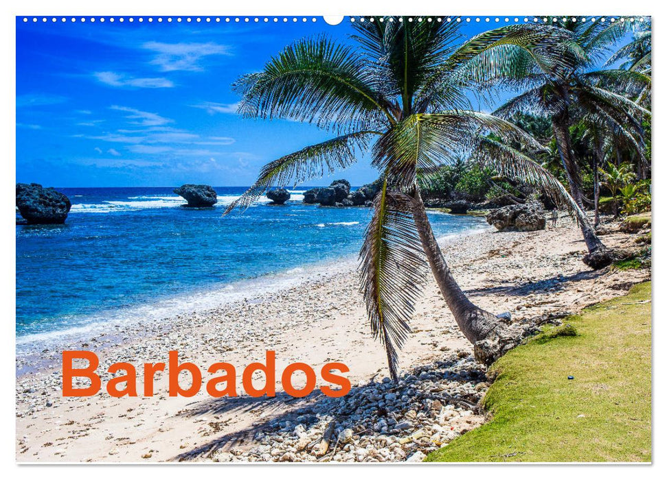 Barbados (CALVENDO Wandkalender 2024)